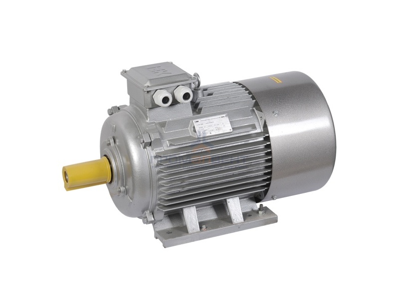 Электродвигатель асинхронный 3ф. АИР 180M4 660В 30кВт 1500об/мин (лапы) 1081 DRIVE IEK